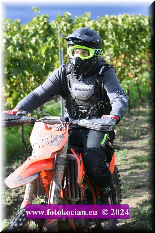 Náhled obrázku: 2024-2077-Valtice-.JPG