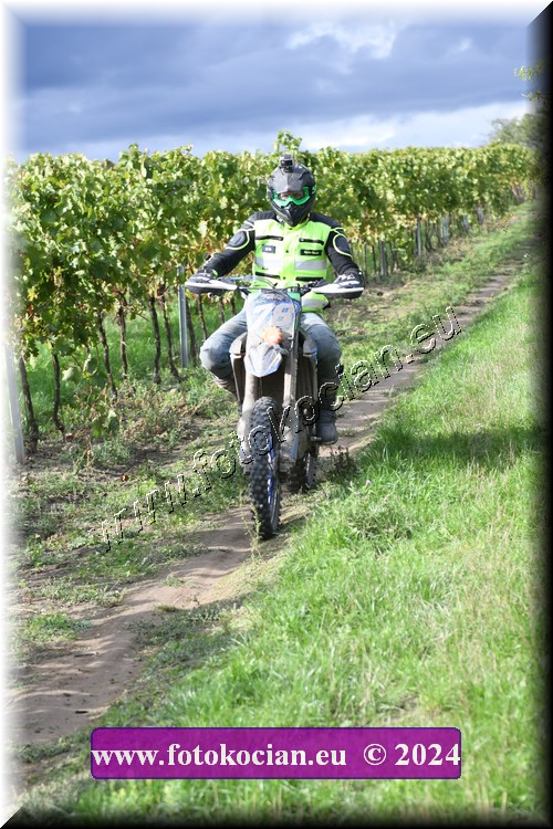 Náhled obrázku: 2024-2078-Valtice-.JPG