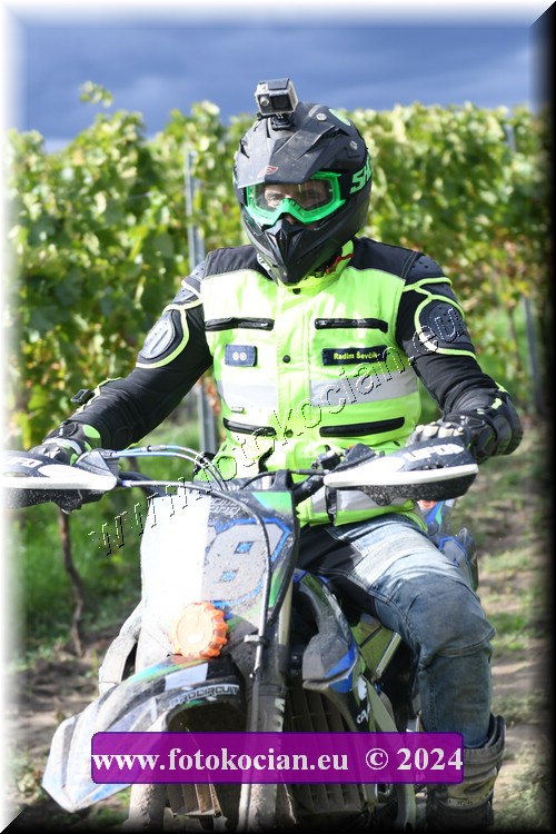 Náhled obrázku: 2024-2079-Valtice-.JPG