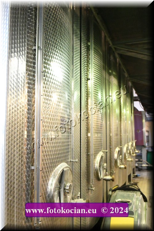 Náhled obrázku: 2024-2099-Valtice-.JPG