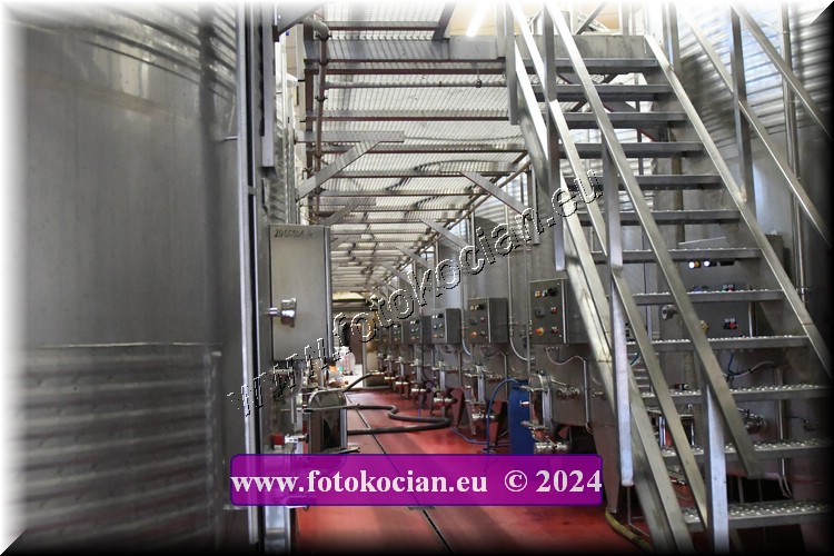 Náhled obrázku: 2024-2100-Valtice-.JPG