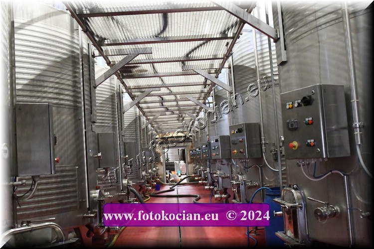 Náhled obrázku: 2024-2101-Valtice-.JPG