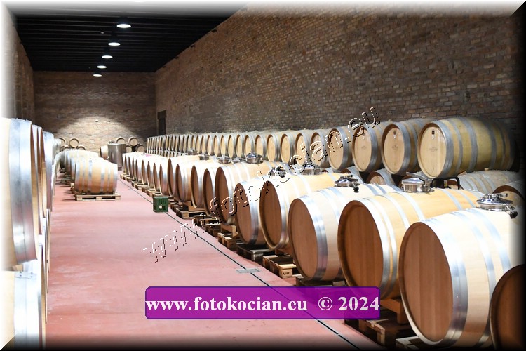 Náhled obrázku: 2024-2104-Valtice-.JPG