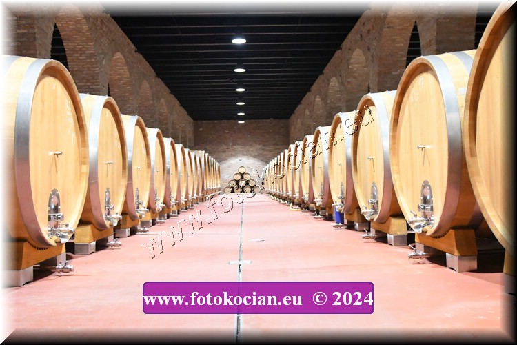 Náhled obrázku: 2024-2105-Valtice-.JPG