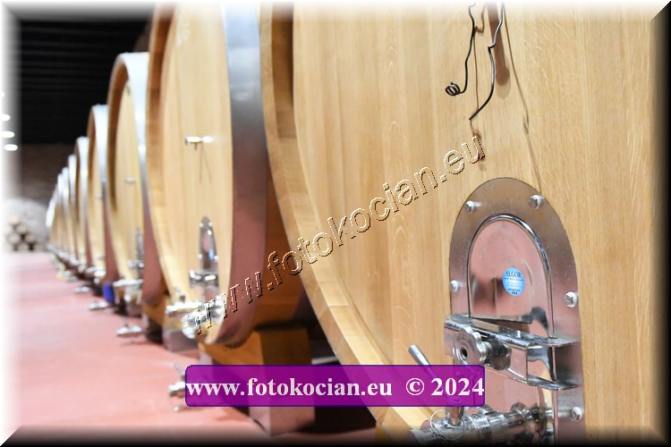 Náhled obrázku: 2024-2107-Valtice-.JPG