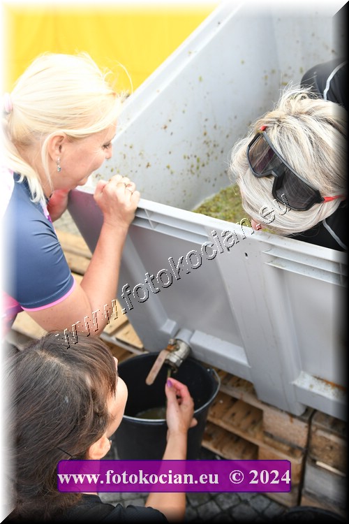 Náhled obrázku: 2024-2119-Valtice-.JPG