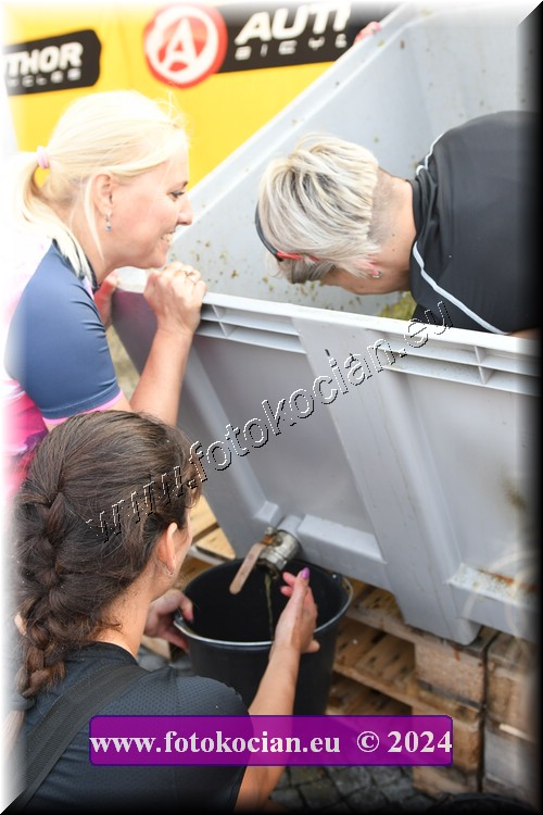 Náhled obrázku: 2024-2120-Valtice-.JPG