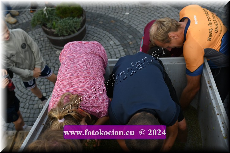 Náhled obrázku: 2024-2124-Valtice-.JPG