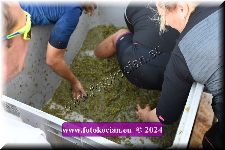 Náhled obrázku: 2024-2127-Valtice-.JPG