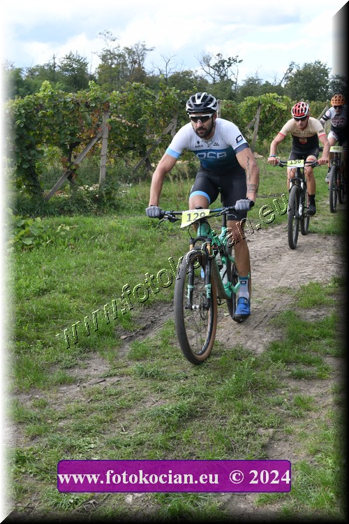 Náhled obrázku: 2024-1449-Valtice-129,156.JPG