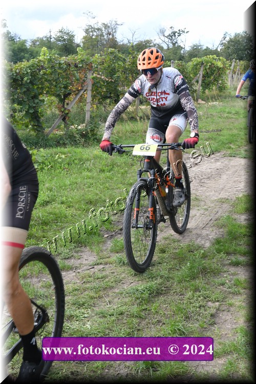 Náhled obrázku: 2024-1451-Valtice-66.JPG