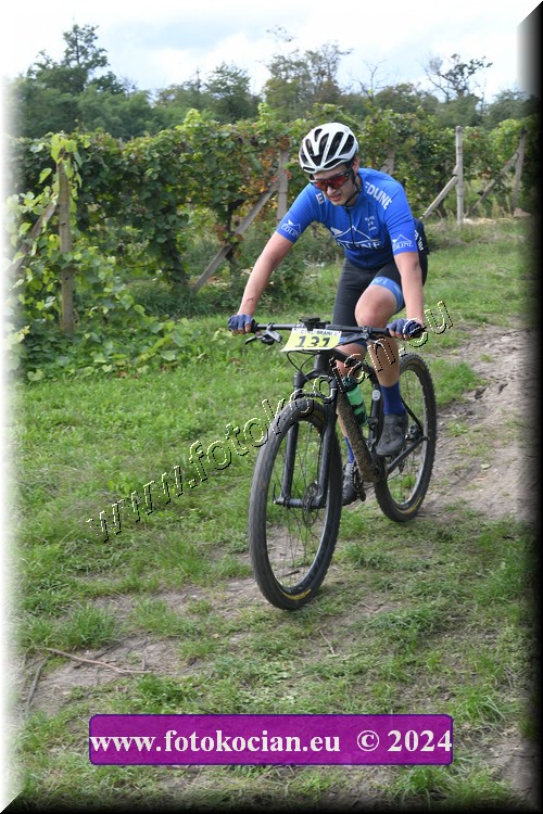 Náhled obrázku: 2024-1452-Valtice-131.JPG