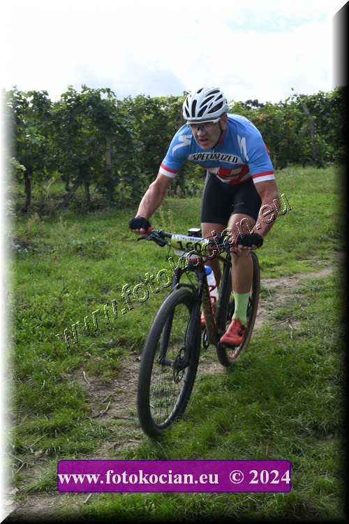 Náhled obrázku: 2024-1453-Valtice-160.JPG