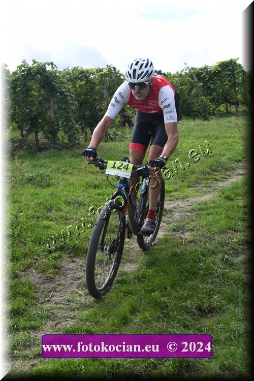 Náhled obrázku: 2024-1454-Valtice-124.JPG