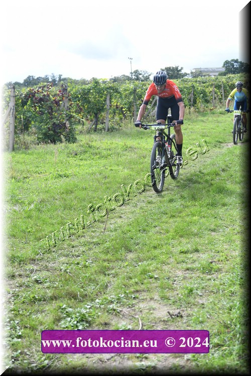 Náhled obrázku: 2024-1457-Valtice-0.JPG