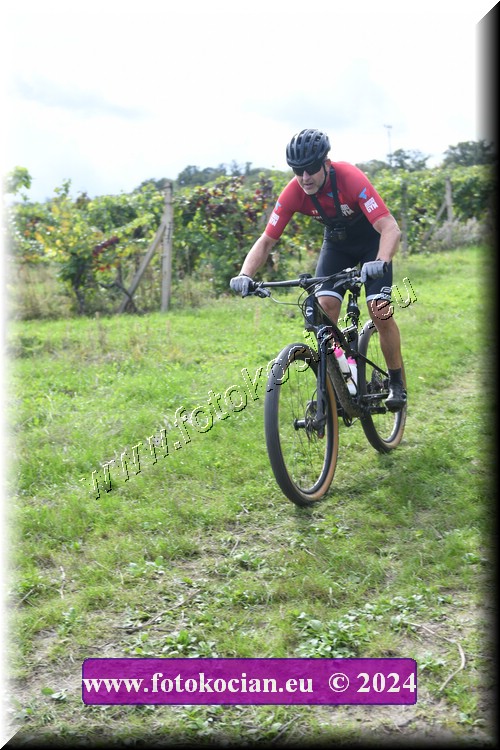 Náhled obrázku: 2024-1459-Valtice-0.JPG