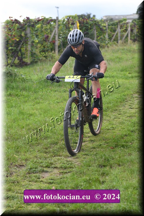 Náhled obrázku: 2024-1467-Valtice-117.JPG