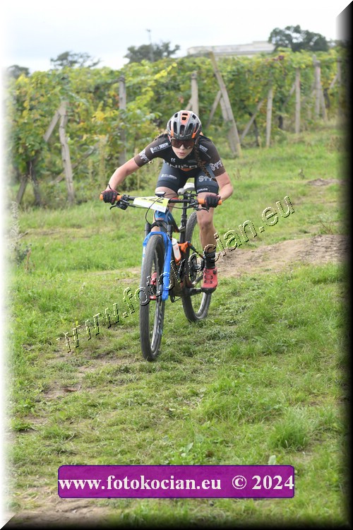 Náhled obrázku: 2024-1473-Valtice-122.JPG