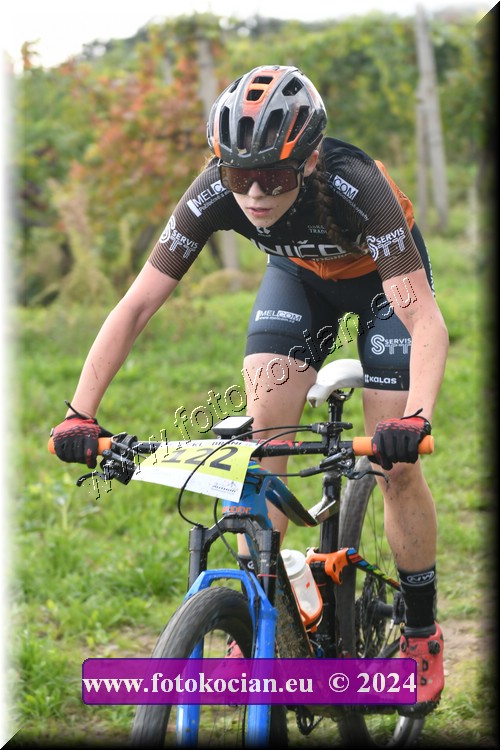 Náhled obrázku: 2024-1474-Valtice-122.JPG