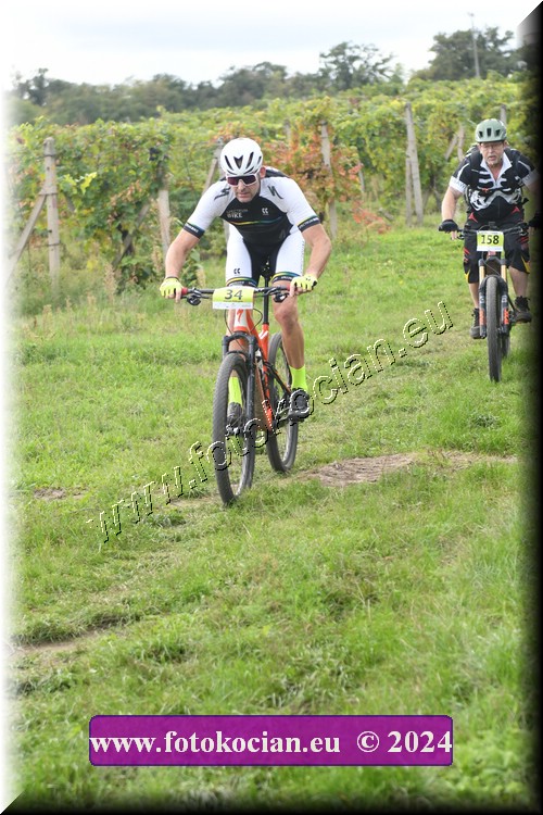 Náhled obrázku: 2024-1475-Valtice-34.JPG