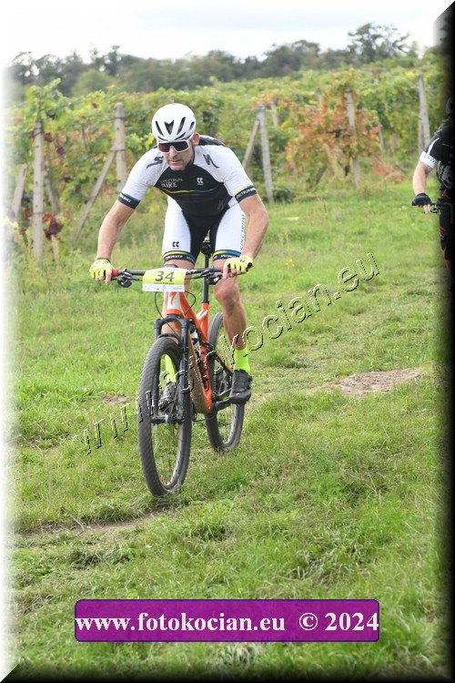 Náhled obrázku: 2024-1476-Valtice-34.JPG