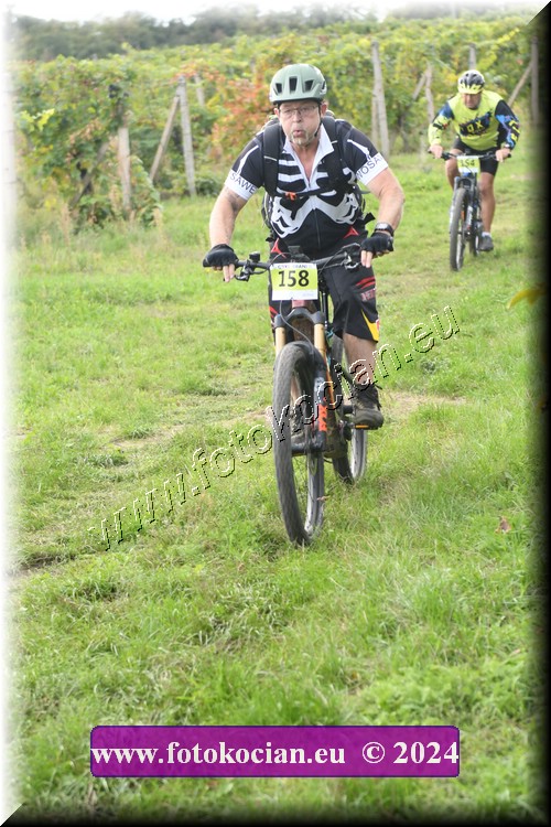 Náhled obrázku: 2024-1477-Valtice-158.JPG