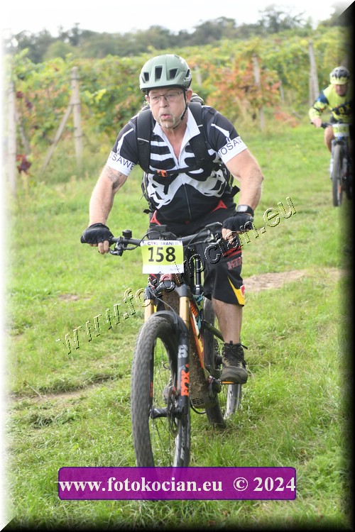 Náhled obrázku: 2024-1478-Valtice-158.JPG