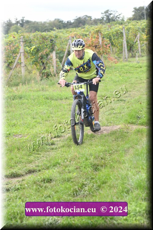 Náhled obrázku: 2024-1479-Valtice-154.JPG