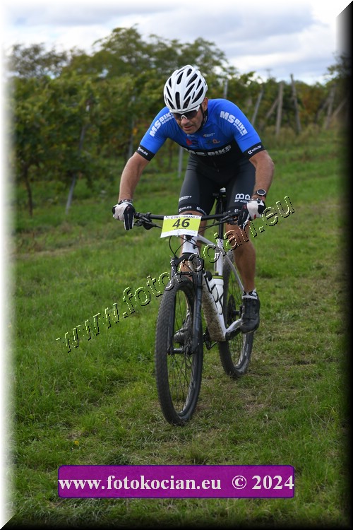 Náhled obrázku: 2024-1497-Valtice-46.JPG