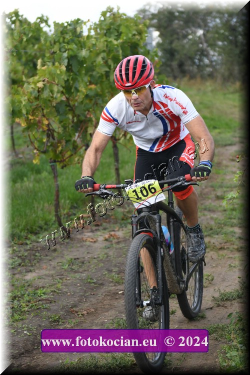 Náhled obrázku: 2024-1509-Valtice-106.JPG