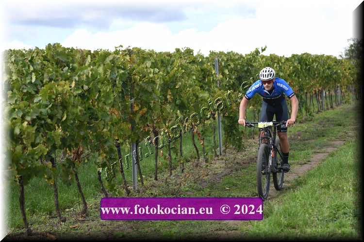 Náhled obrázku: 2024-1513-Valtice-47.JPG