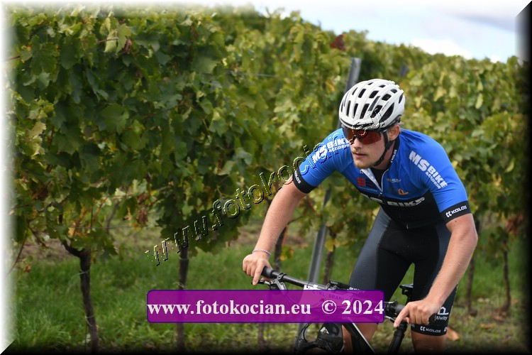 Náhled obrázku: 2024-1514-Valtice-47.JPG