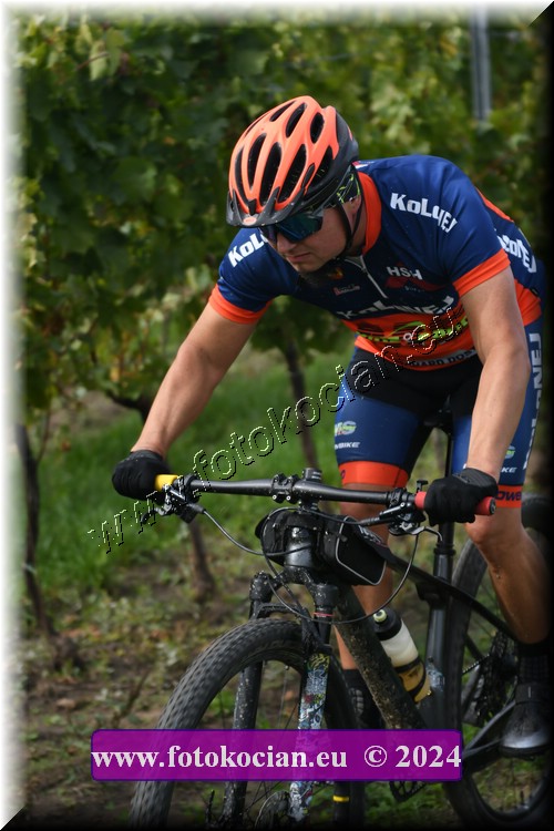 Náhled obrázku: 2024-1516-Valtice-0.JPG