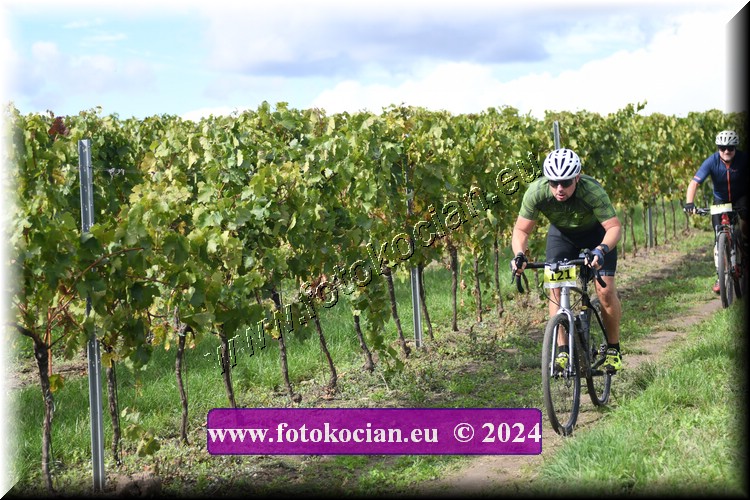 Náhled obrázku: 2024-1517-Valtice-121.JPG