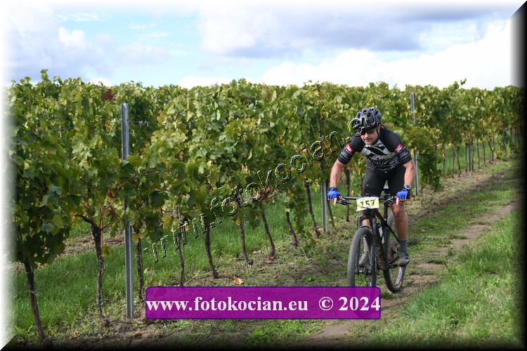 Náhled obrázku: 2024-1519-Valtice-157.JPG