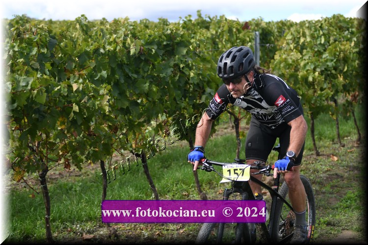 Náhled obrázku: 2024-1520-Valtice-157.JPG