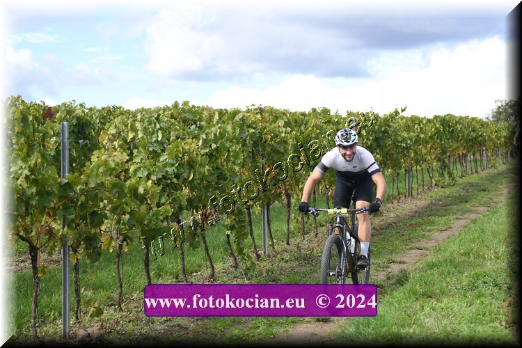 Náhled obrázku: 2024-1521-Valtice-99.JPG