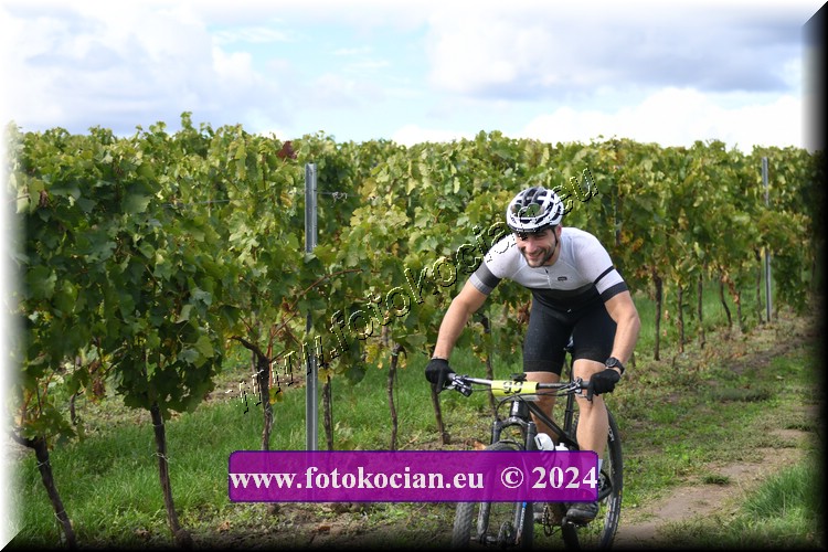 Náhled obrázku: 2024-1522-Valtice-99.JPG