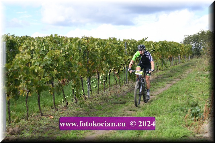 Náhled obrázku: 2024-1523-Valtice-100.JPG