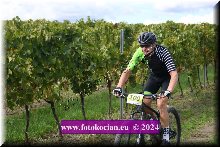 Náhled obrázku: 2024-1524-Valtice-100.JPG