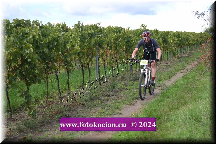 Náhled obrázku: 2024-1525-Valtice-21.JPG