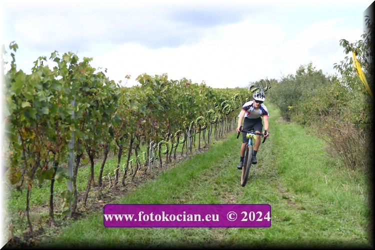 Náhled obrázku: 2024-1527-Valtice-56.JPG