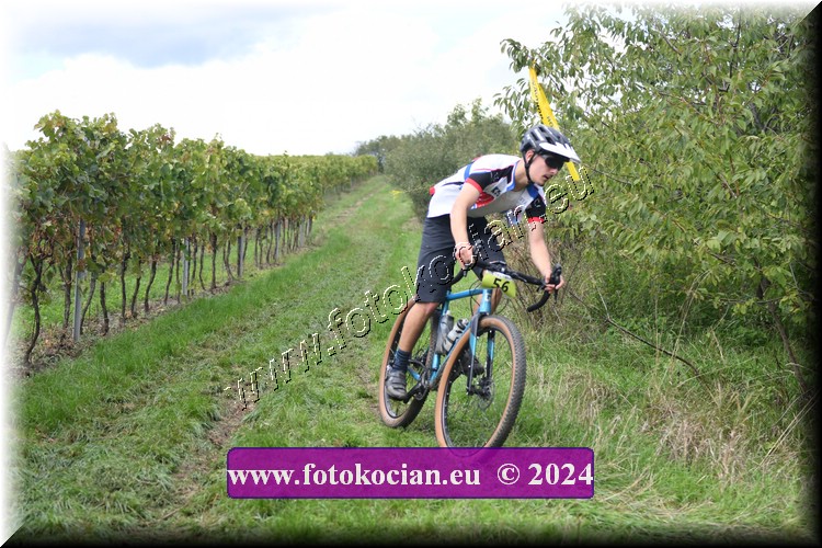 Náhled obrázku: 2024-1528-Valtice-56.JPG