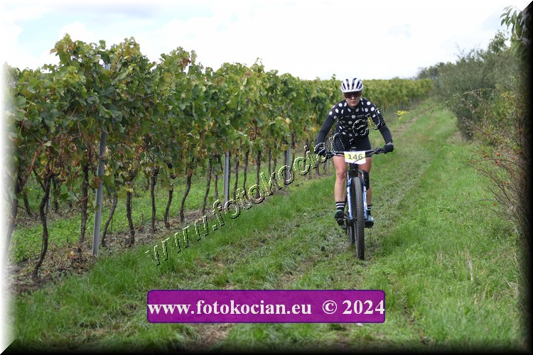 Náhled obrázku: 2024-1529-Valtice-146.JPG