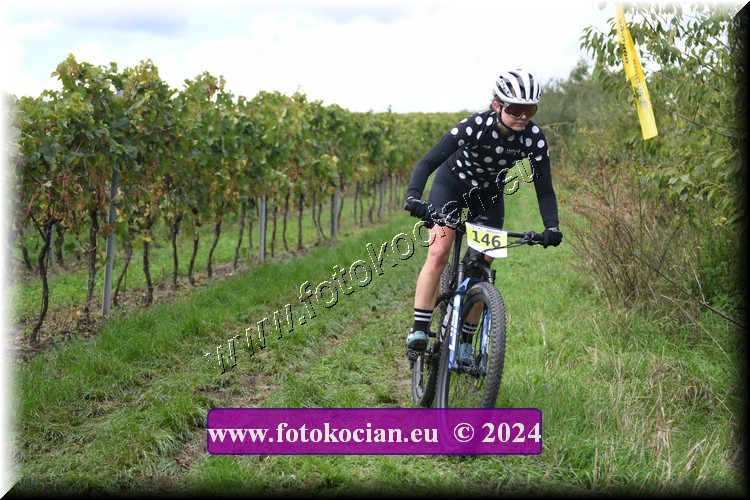 Náhled obrázku: 2024-1530-Valtice-146.JPG