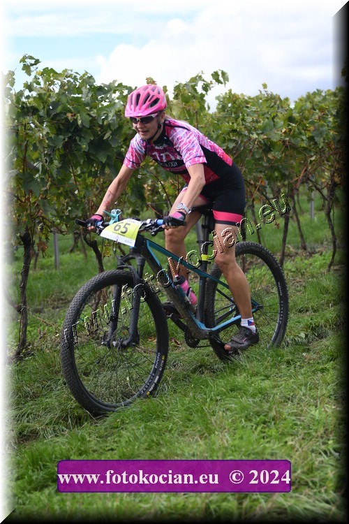 Náhled obrázku: 2024-1533-Valtice-65.JPG