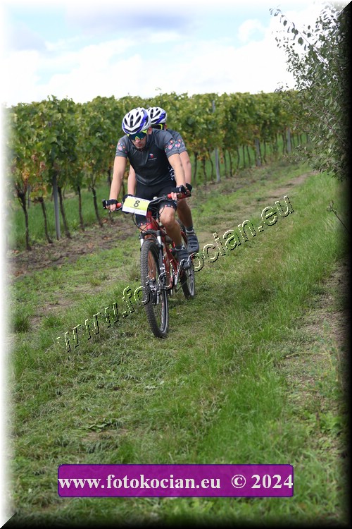 Náhled obrázku: 2024-1536-Valtice-8.JPG