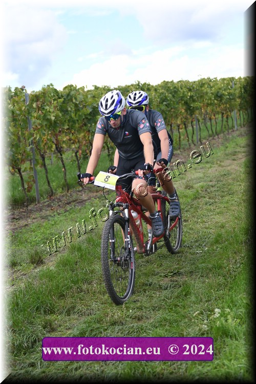 Náhled obrázku: 2024-1537-Valtice-8.JPG