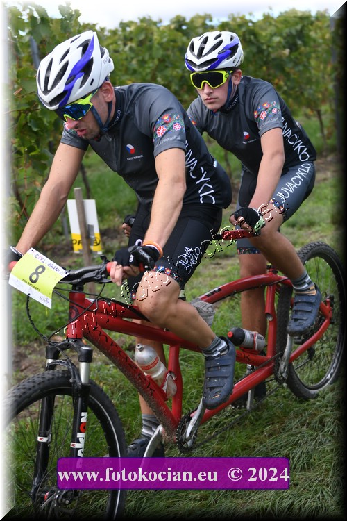 Náhled obrázku: 2024-1538-Valtice-8.JPG