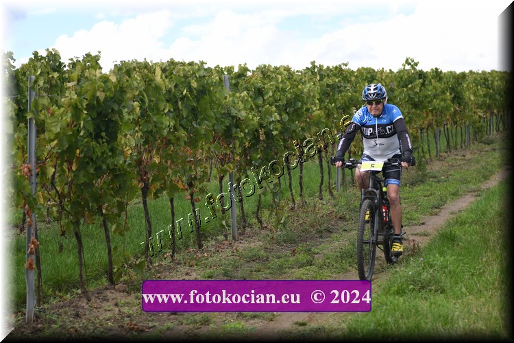 Náhled obrázku: 2024-1539-Valtice-5.JPG